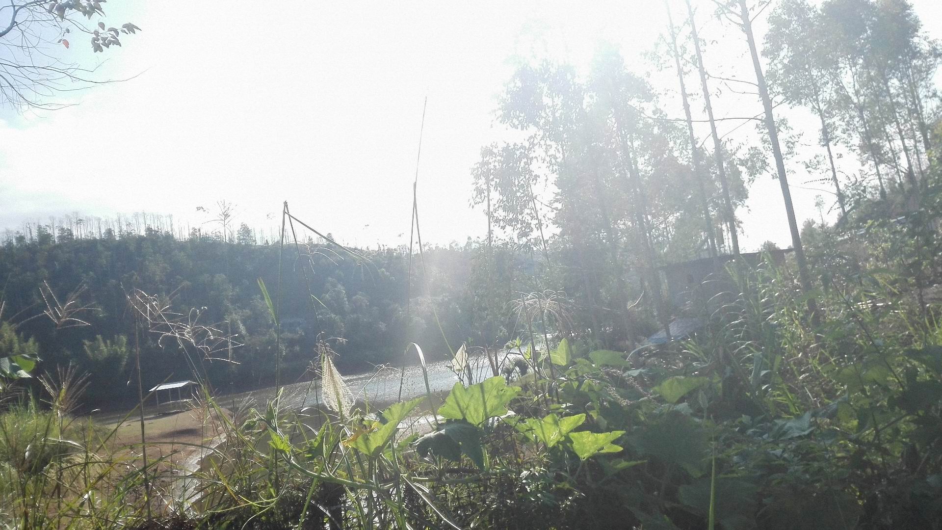 油草塘水库