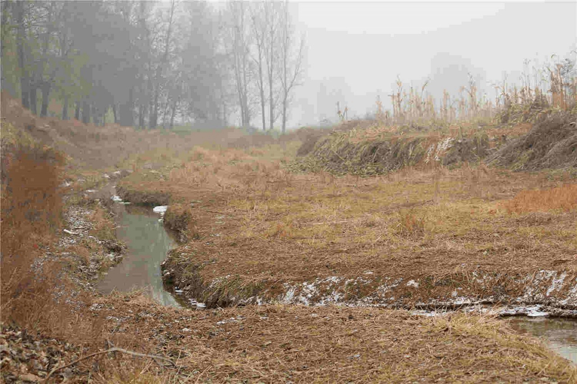 滹沱河边家庄2号河滩