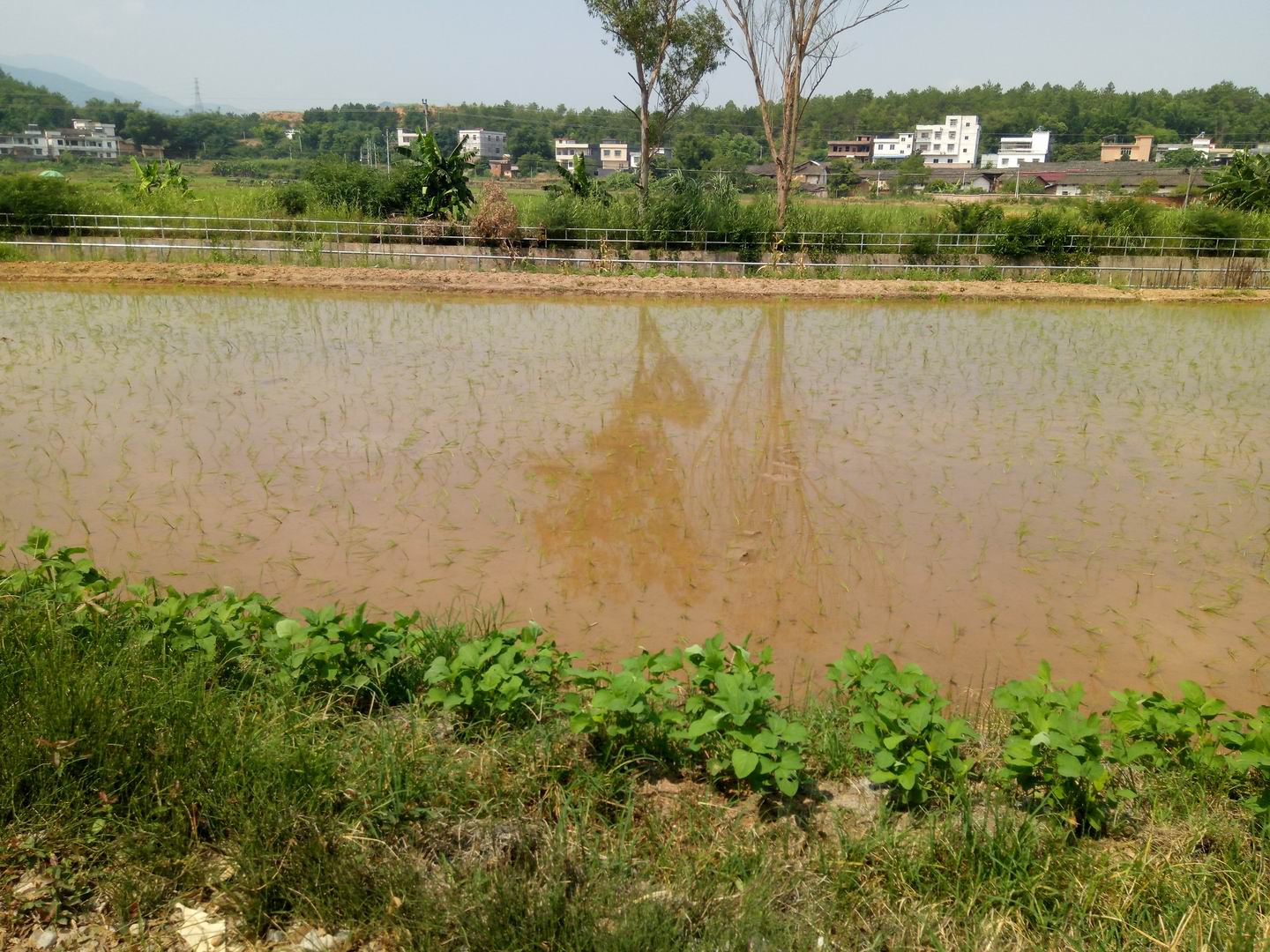 黄沙坑水库