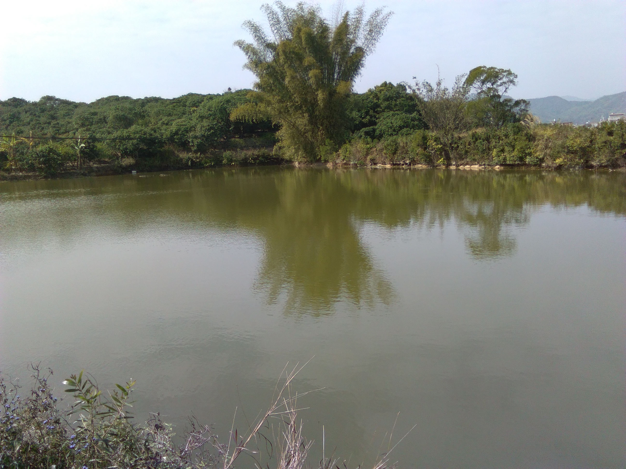 狮岩水库