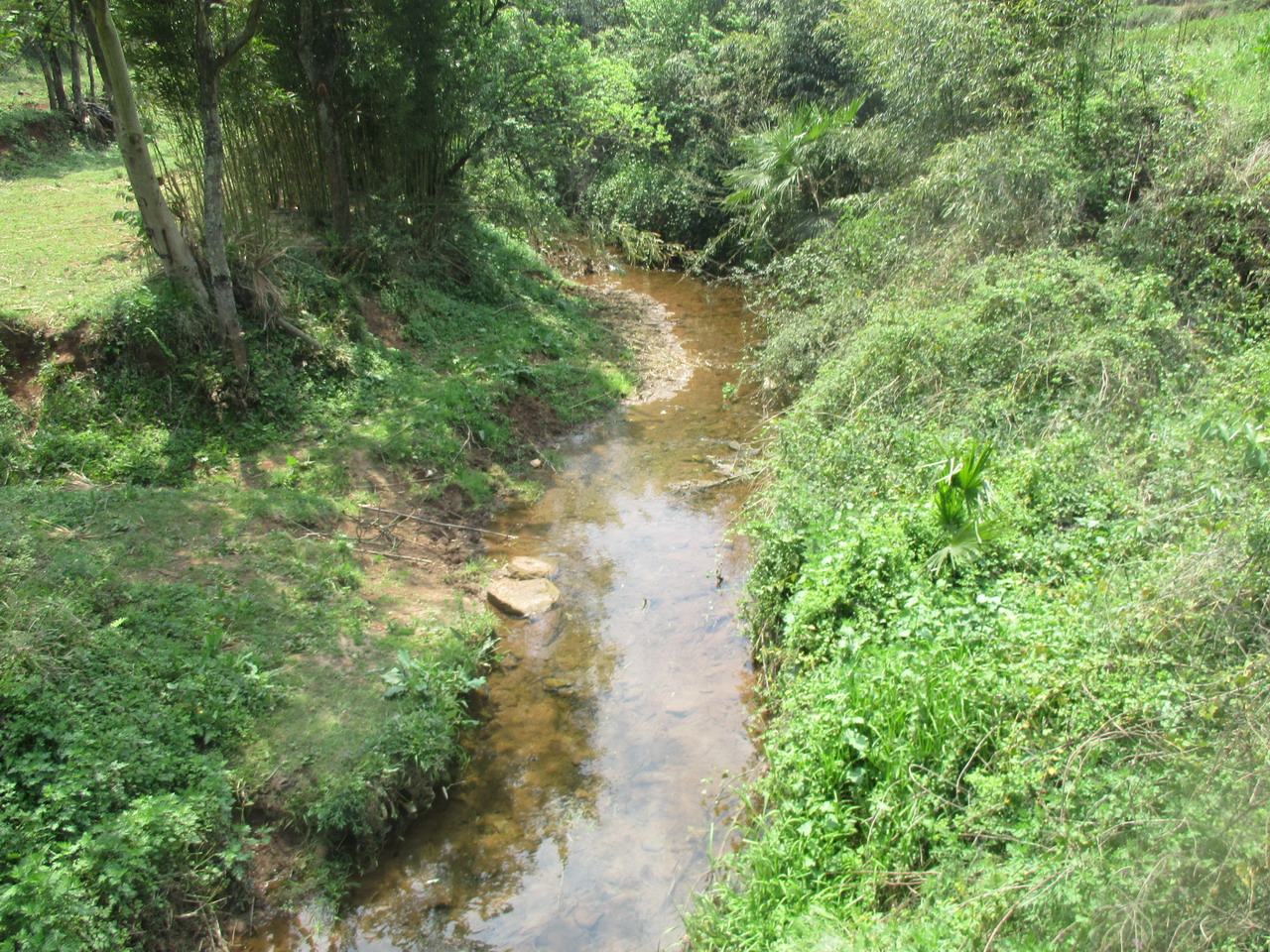 扯乐河箐底河湾