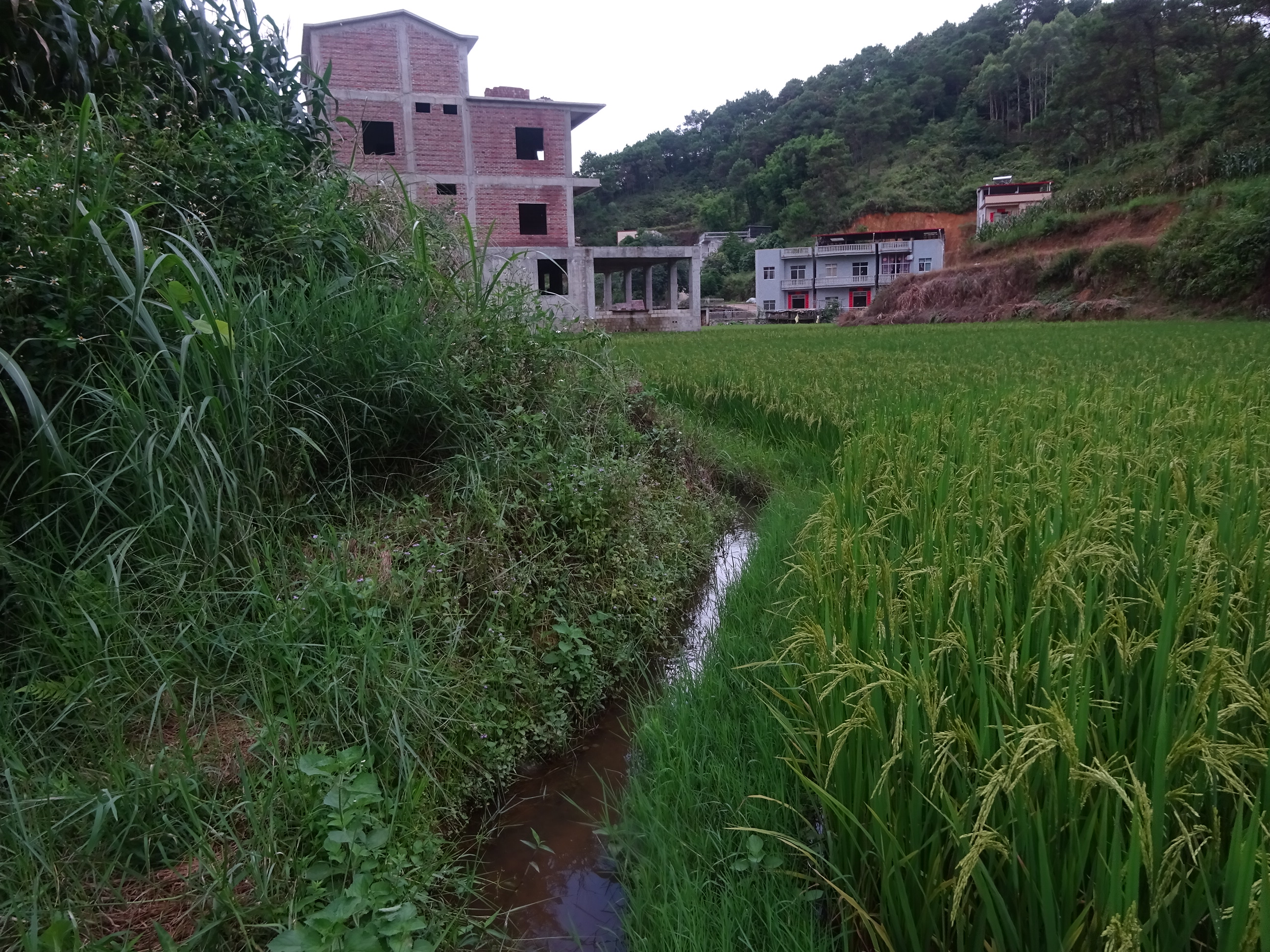 黎屋河
