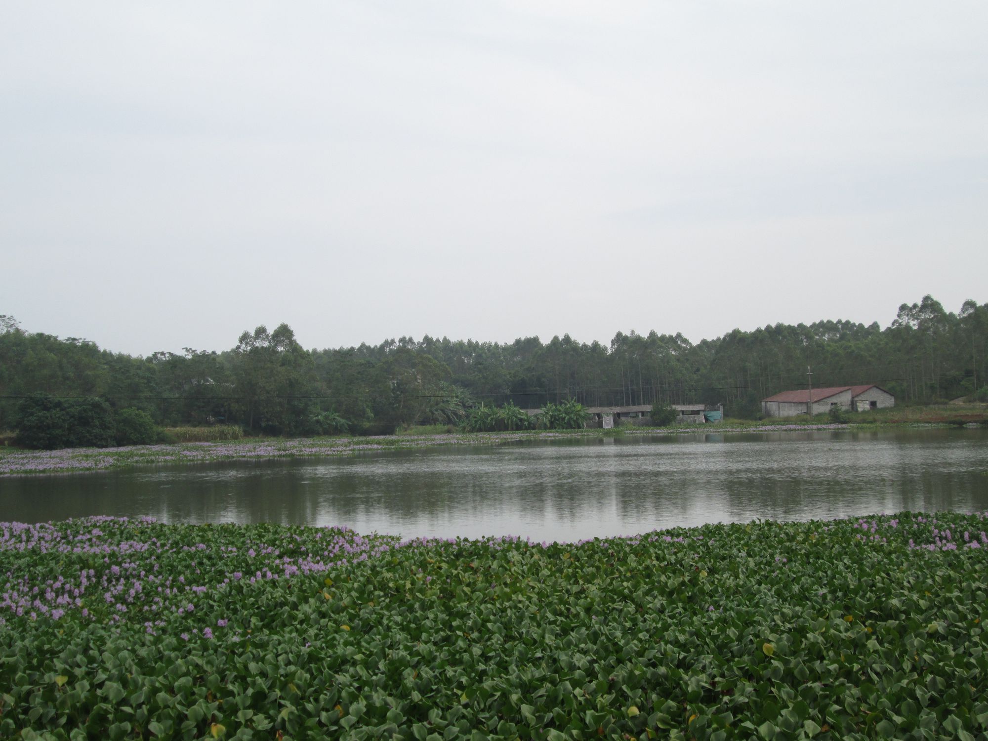 沙石岭水库