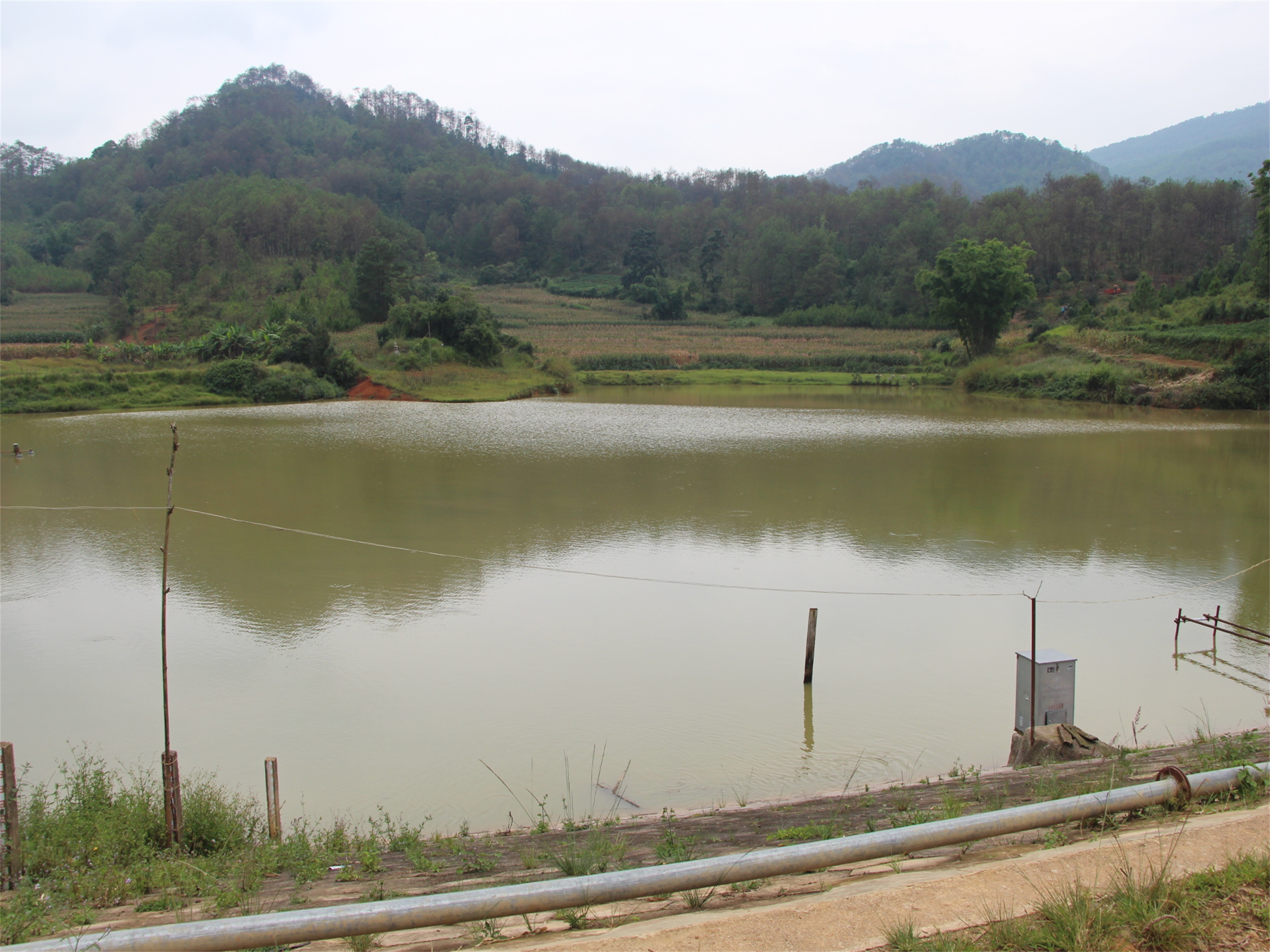 板脚坟山水库