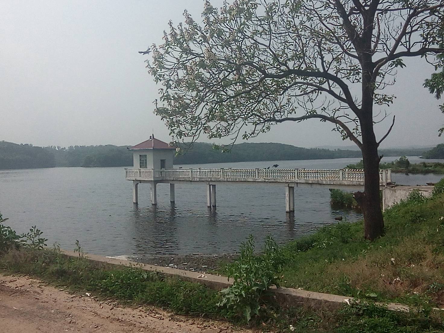 郑家湾水库