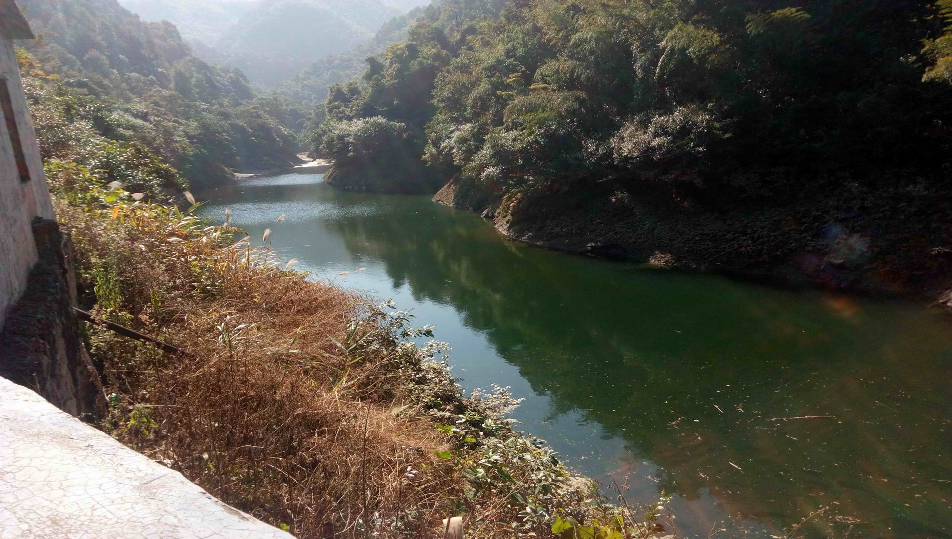 鲤江水库