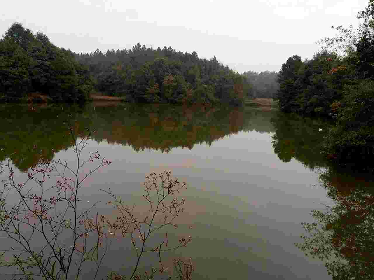 枚头寺水库