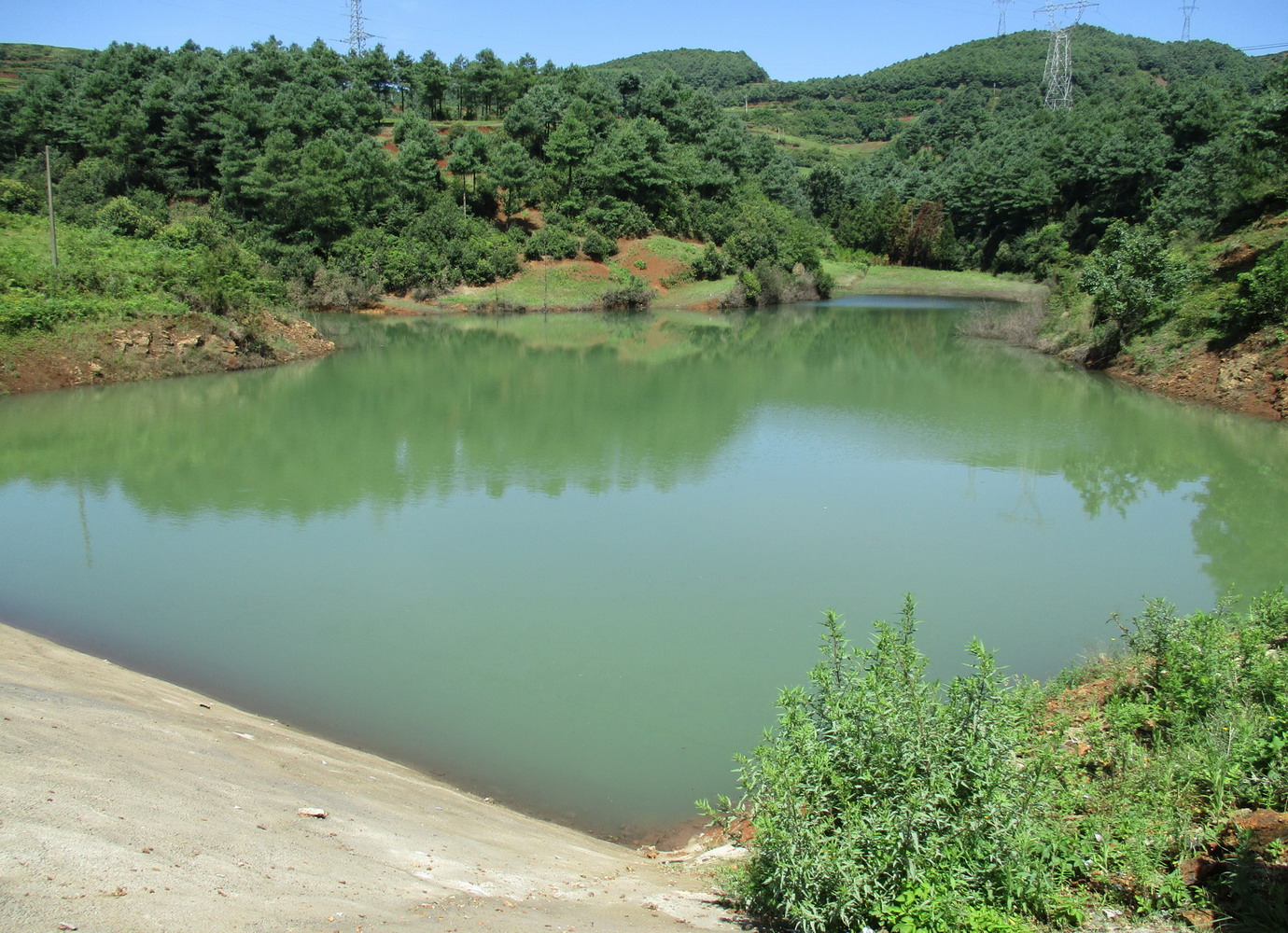 蒲草箐水库