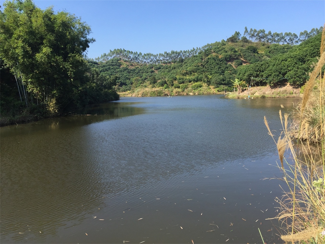 高龙塘水库