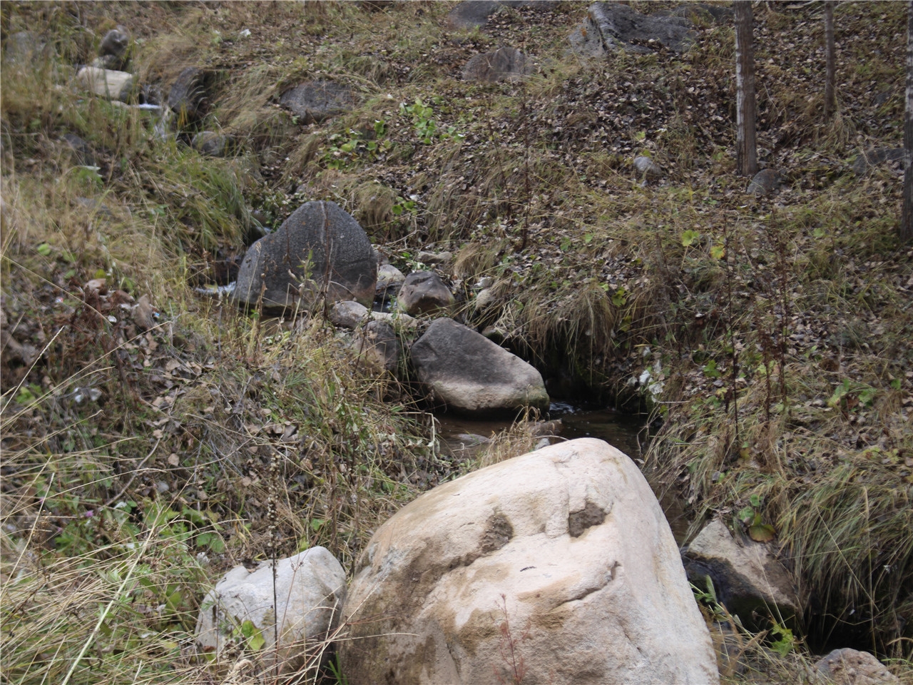 西卡戳沟