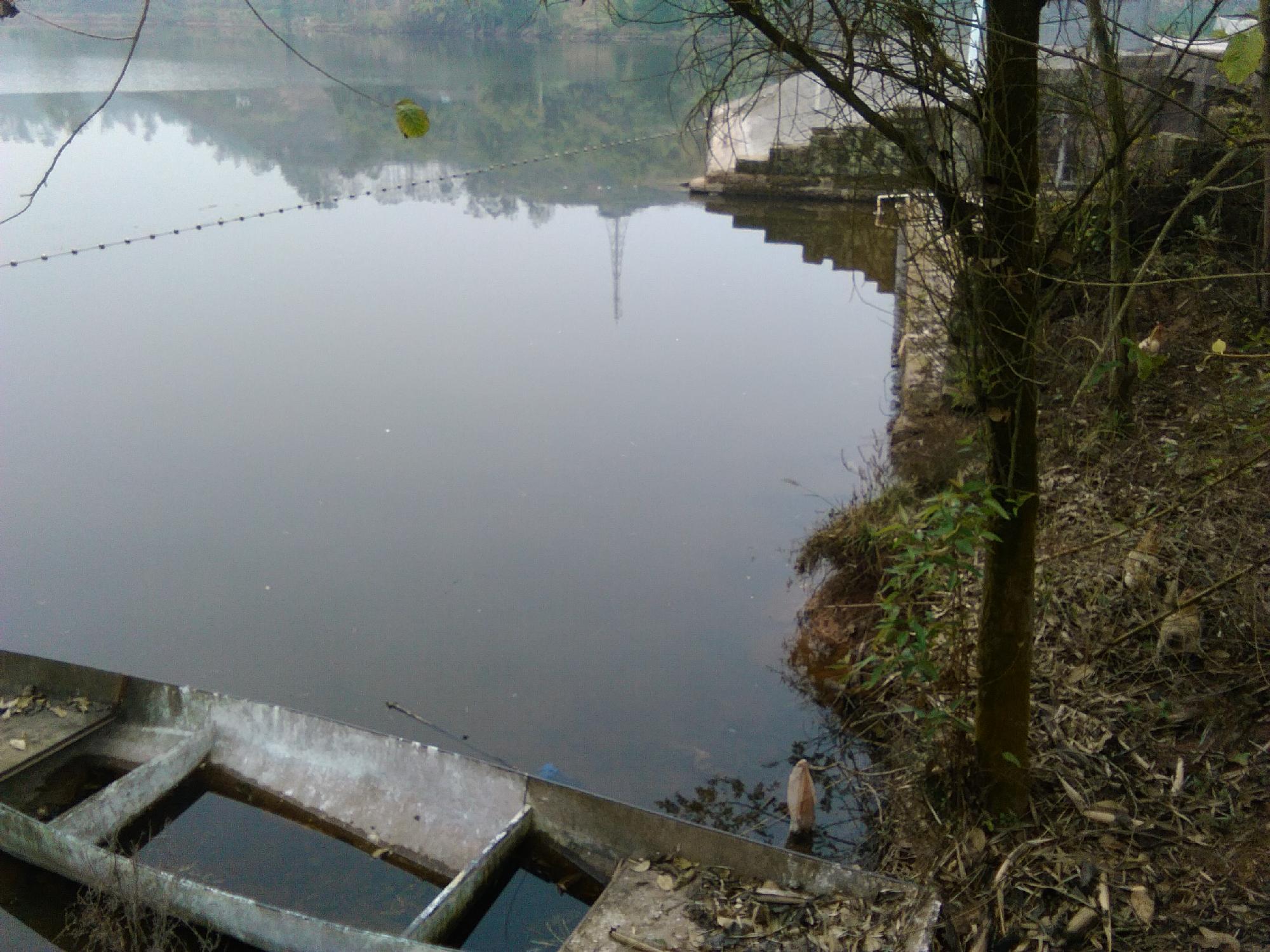 陡梯子水库