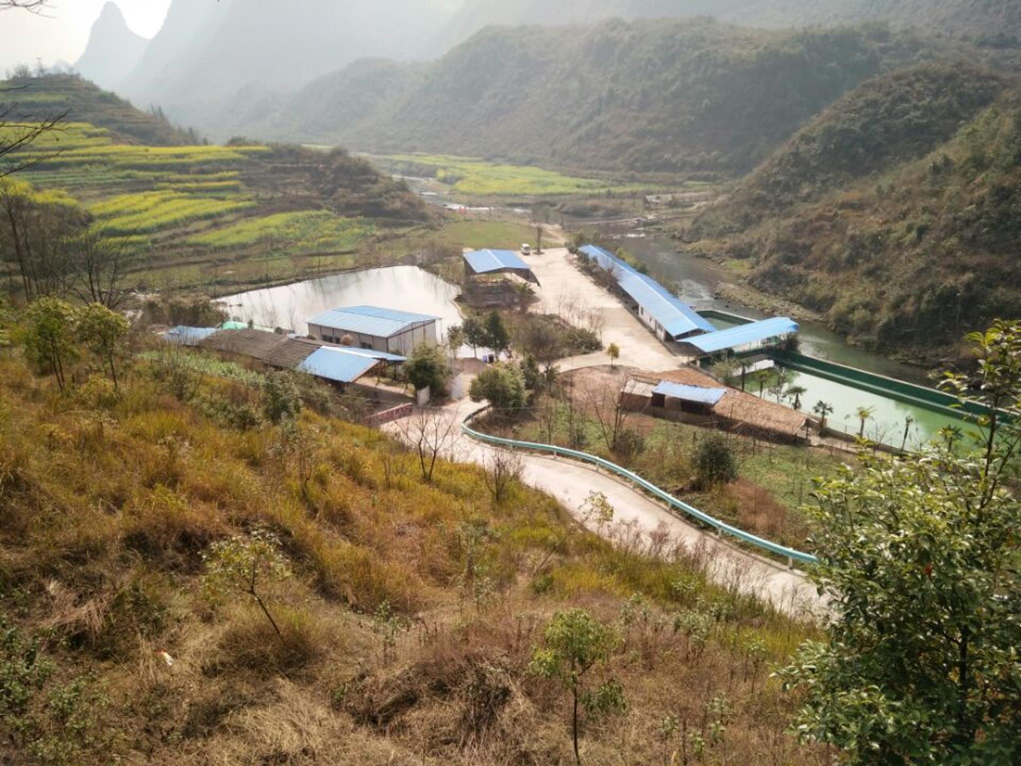 九洞桥山庄