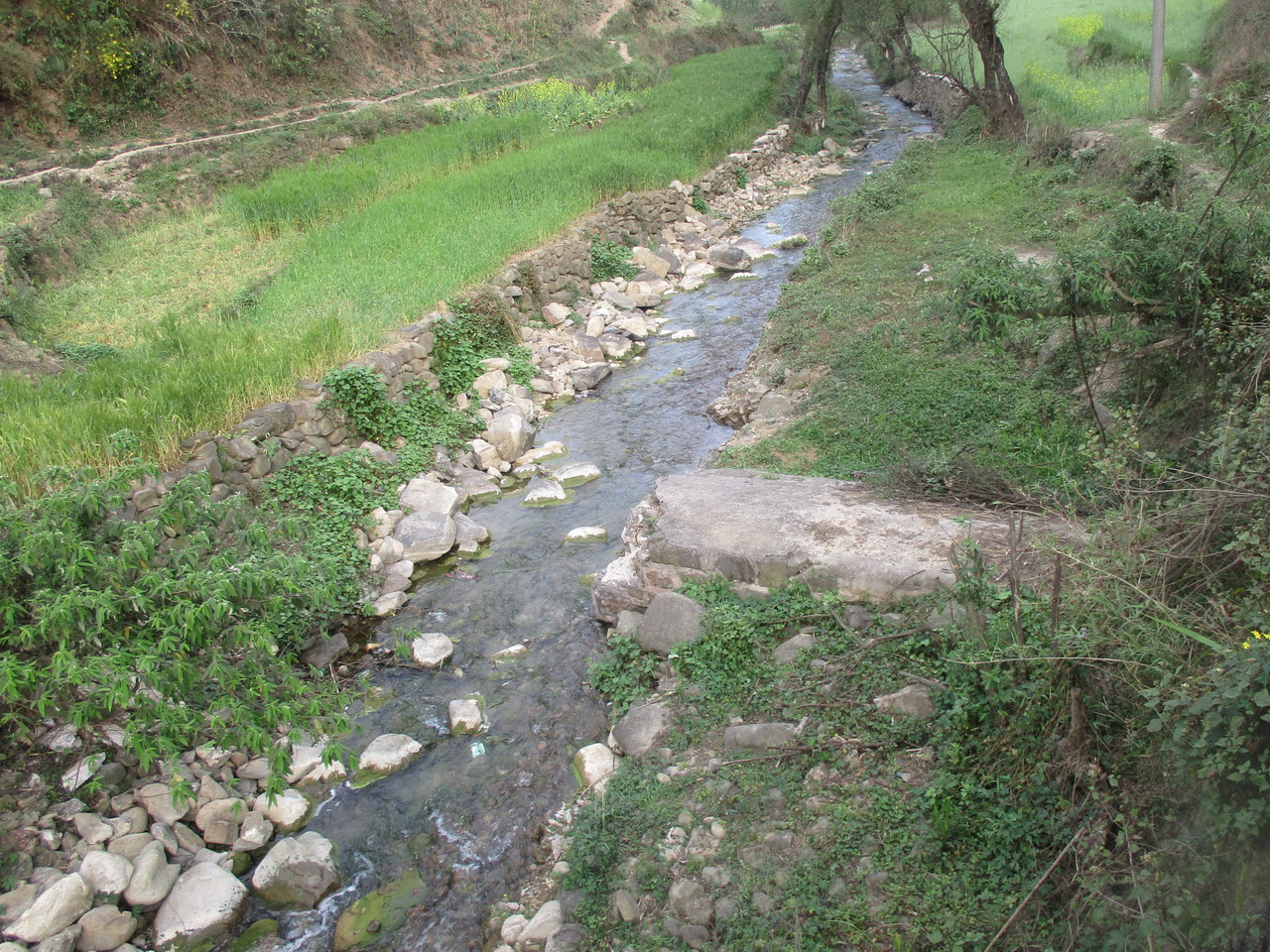 五洛河牛尾小河沟底下河湾