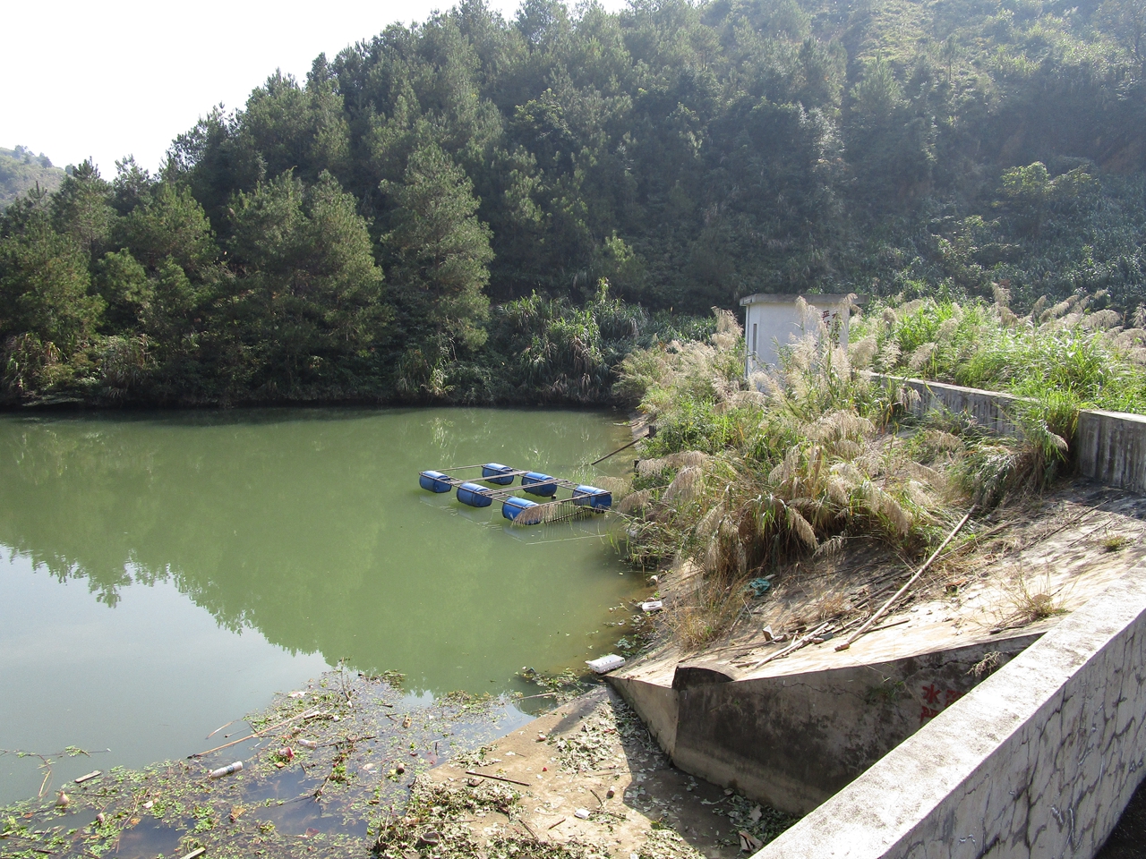 癞里石水库