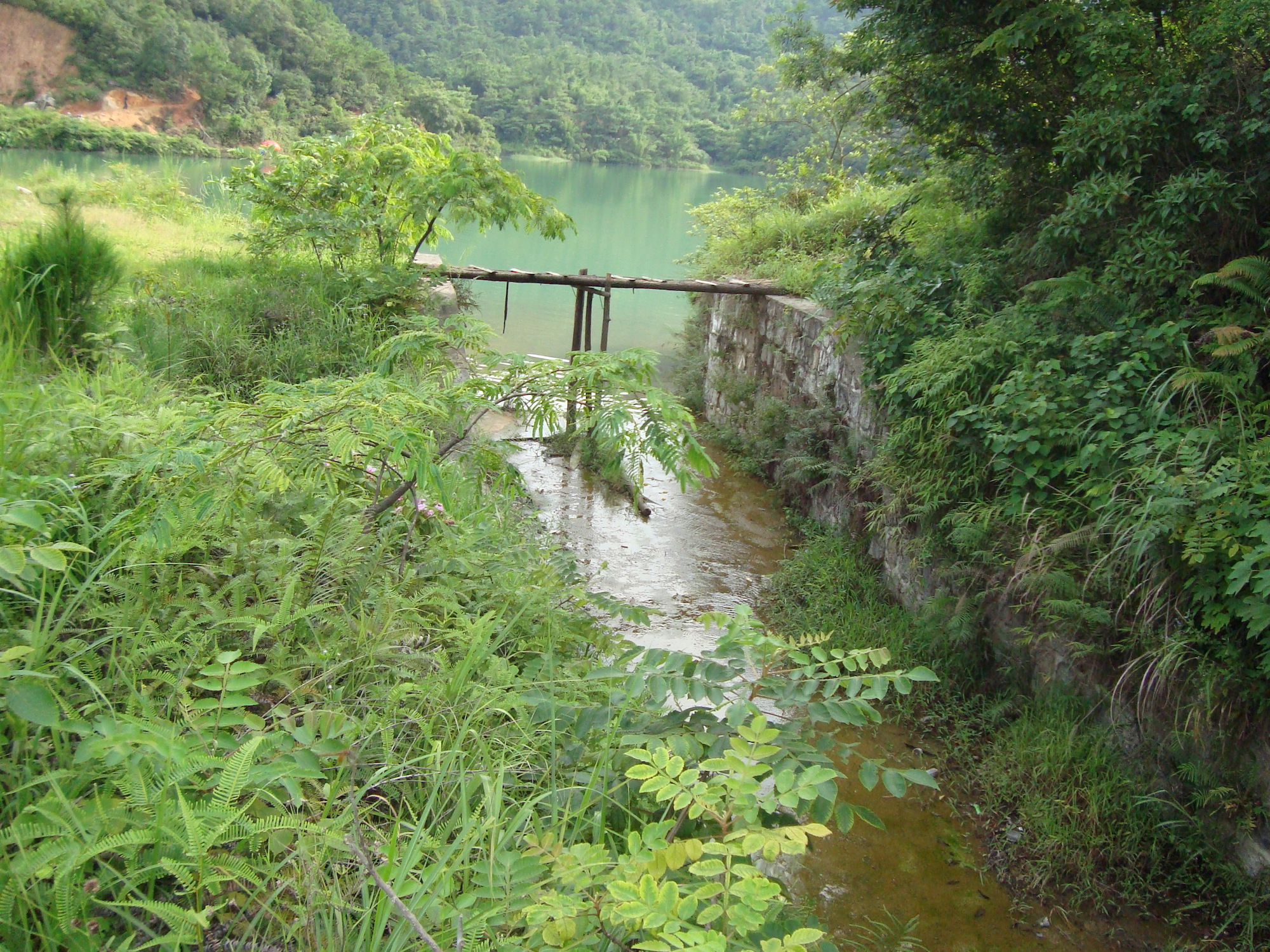 仙桥岩前水库