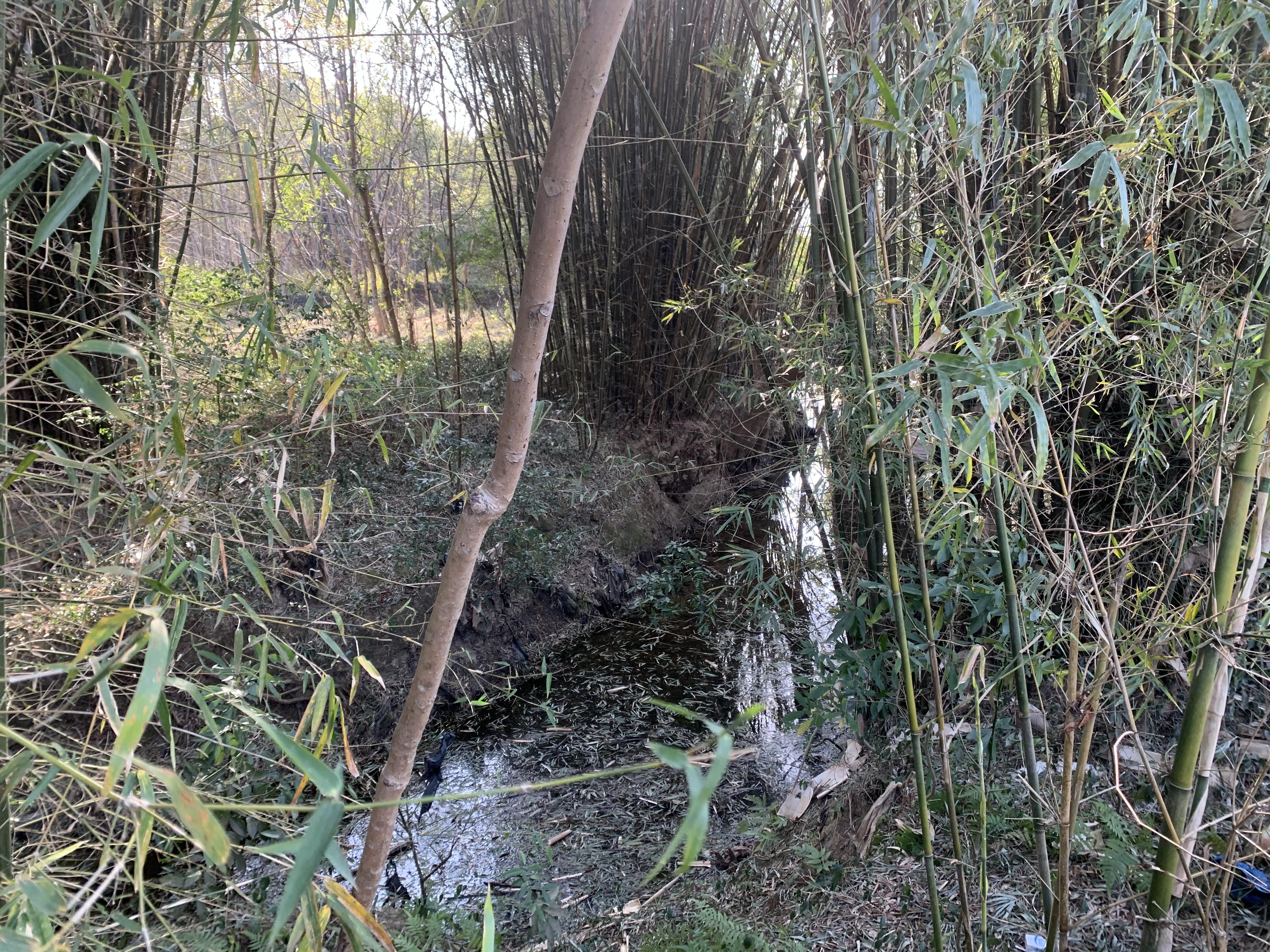 鸡田肚冲河