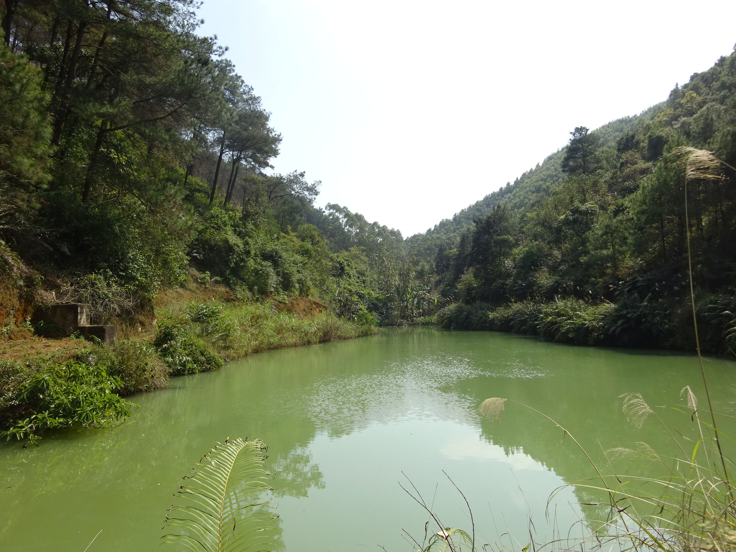 高垌水库