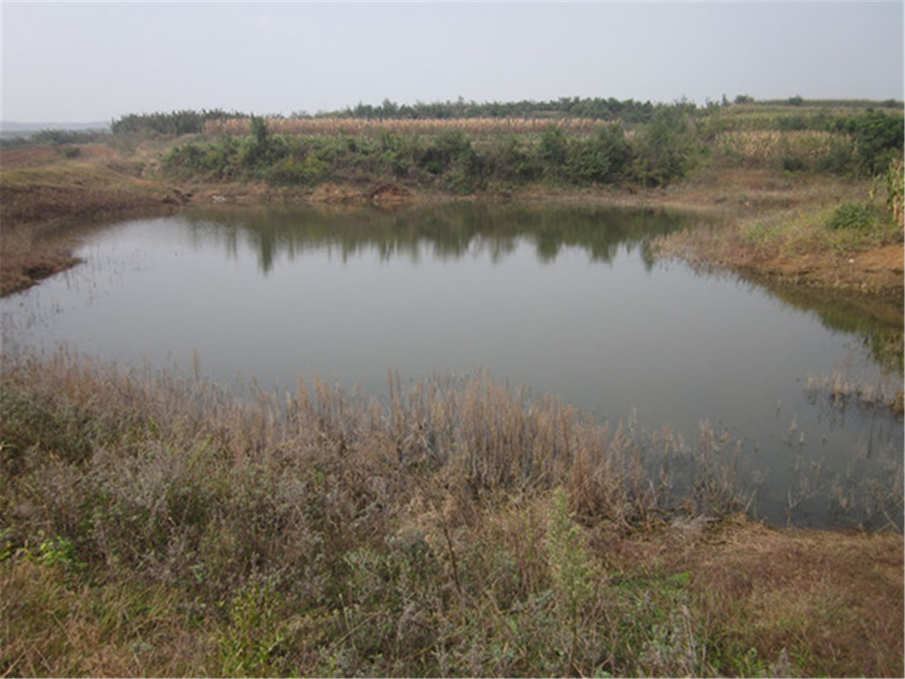 孙庄村李元水库