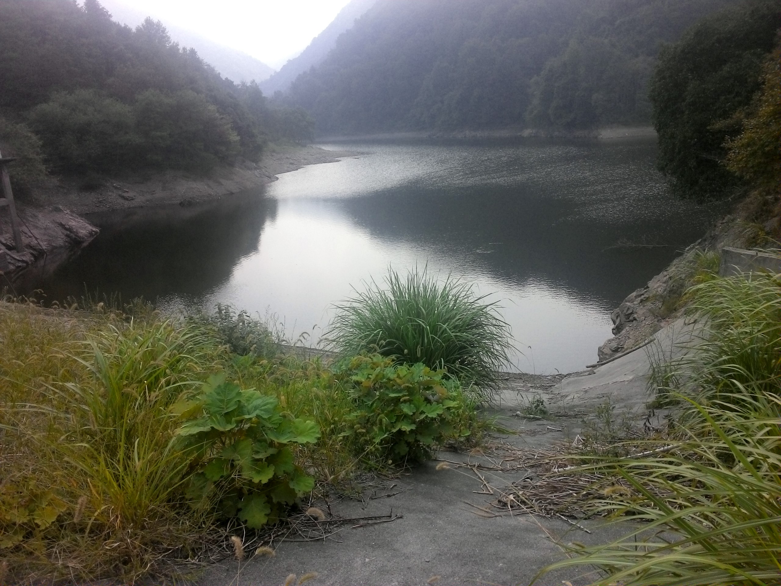 高山王水库