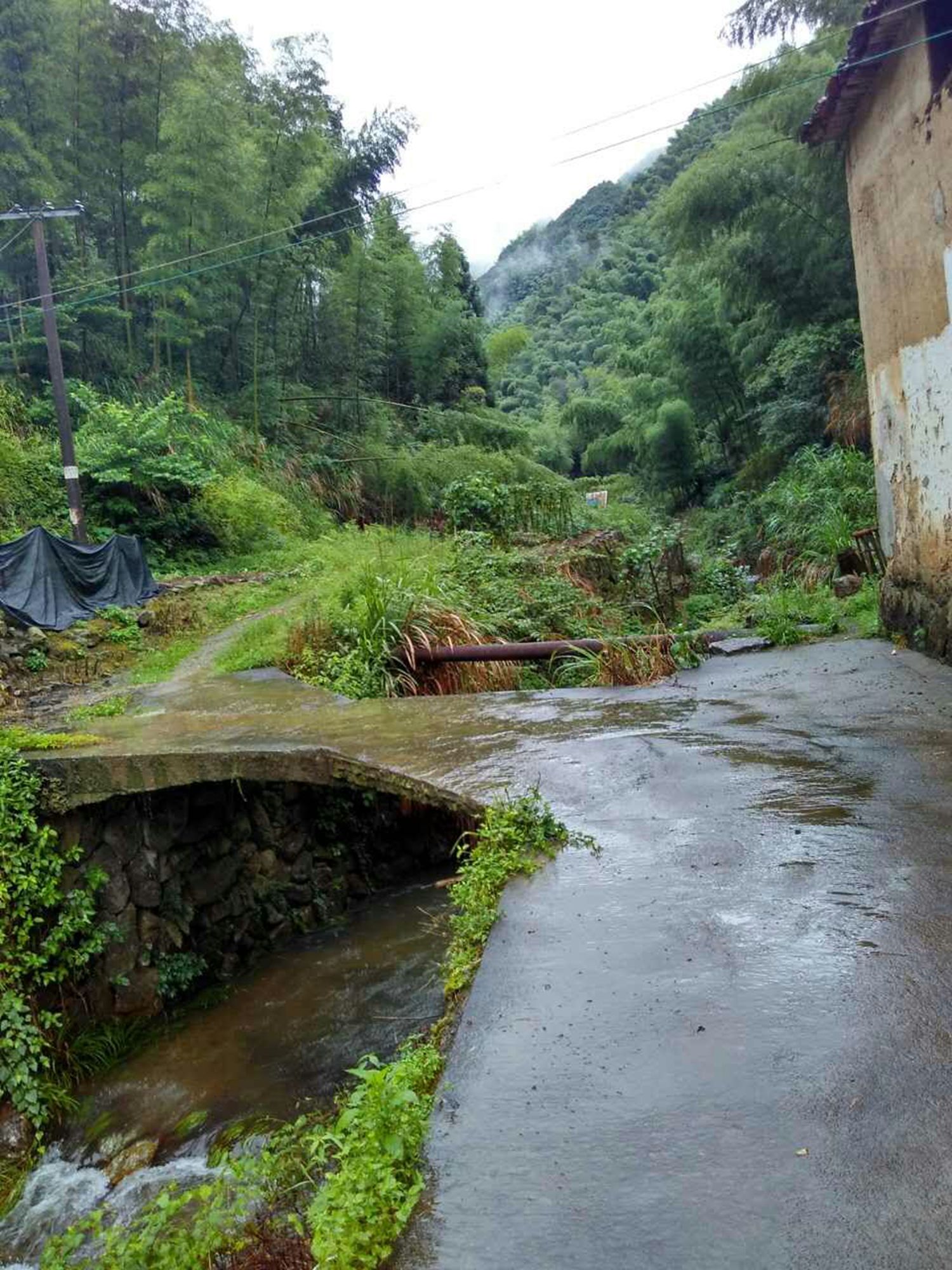 双港湾