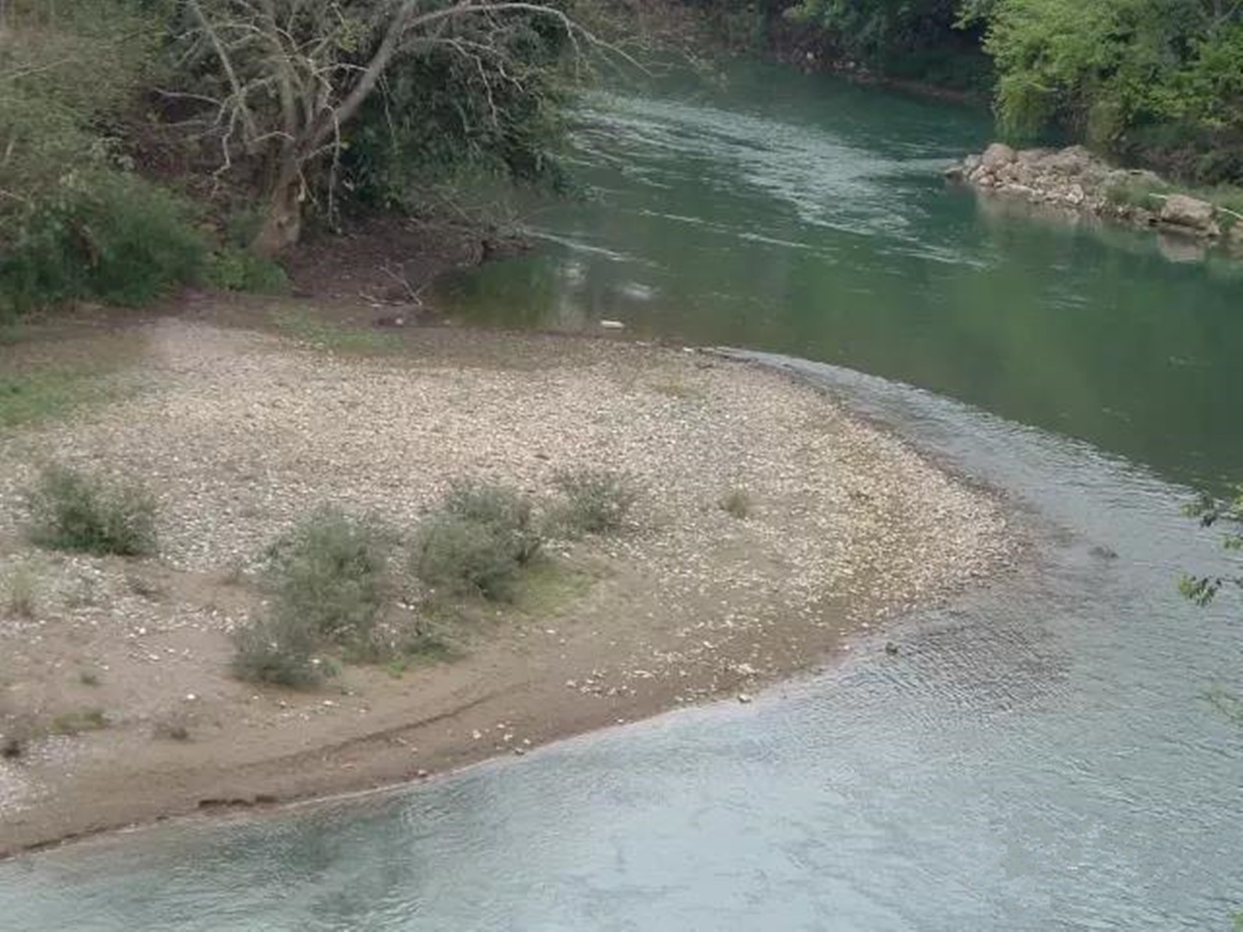 南溪河热带雨林风景-八字河