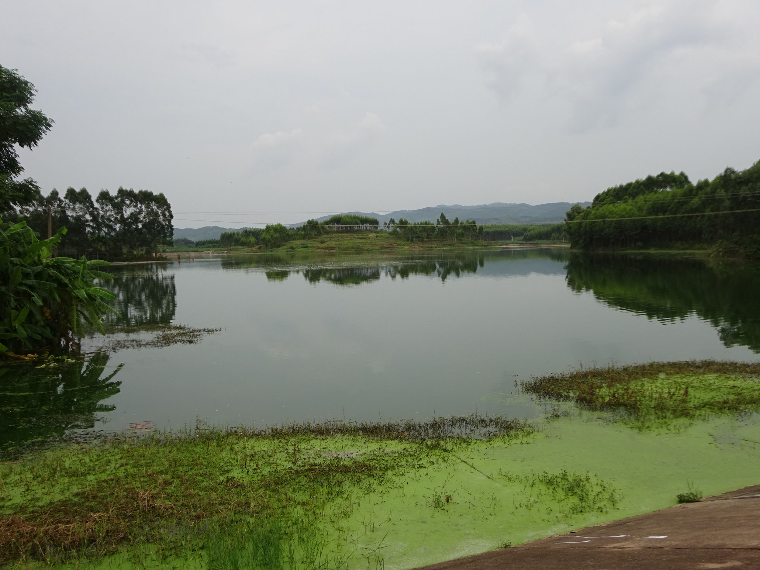 马陈水库