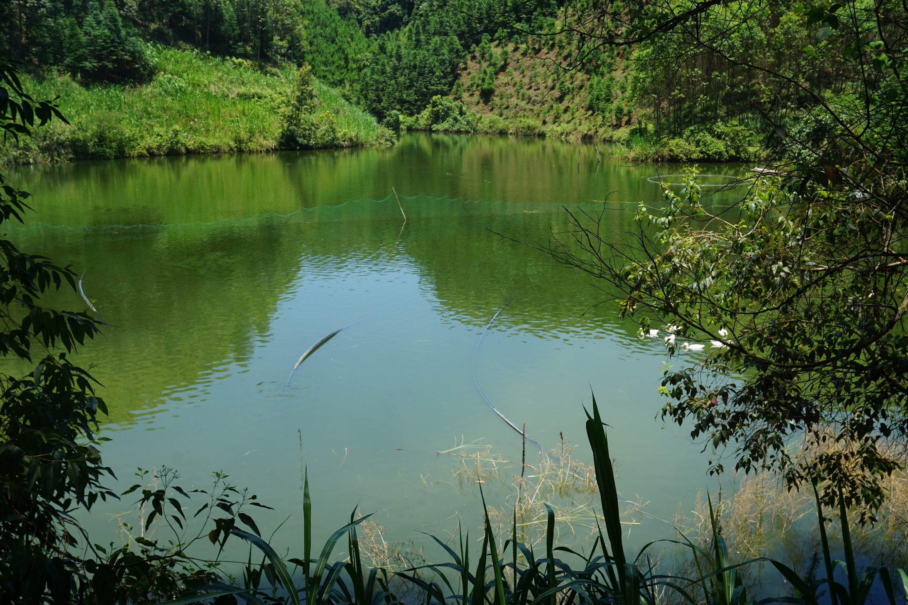 那梨水库