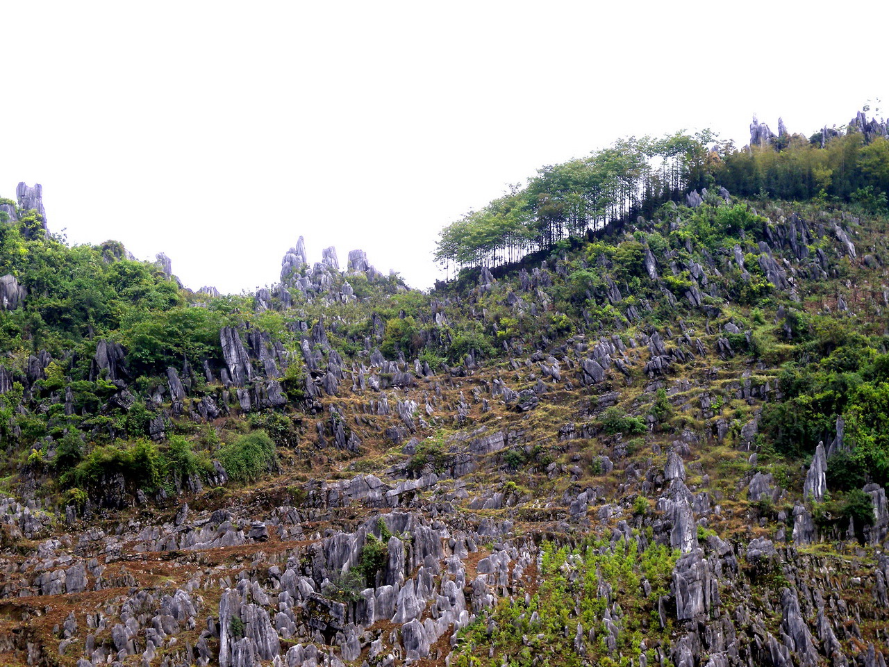 岩溶风景名胜区