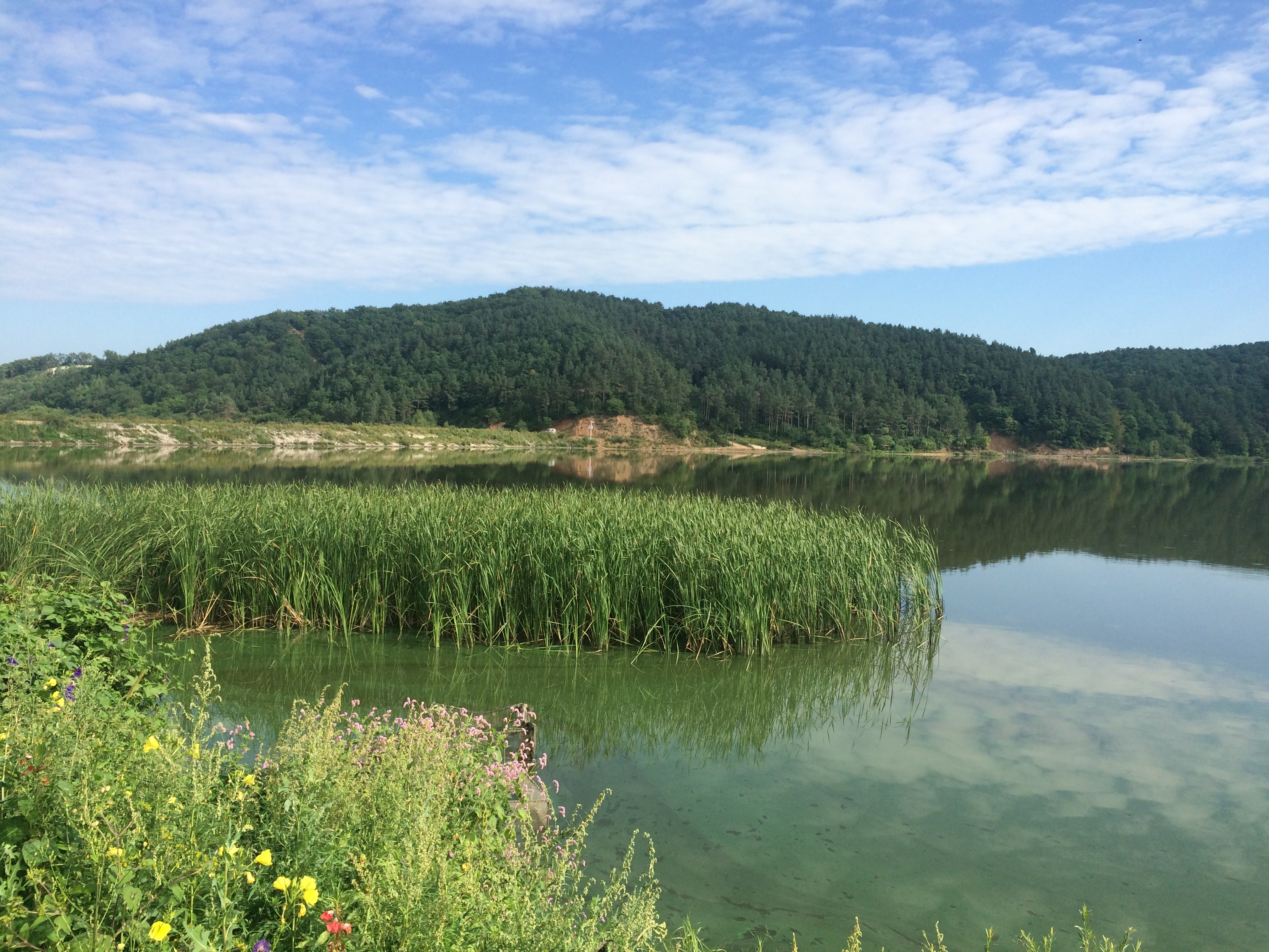 宏飞水库