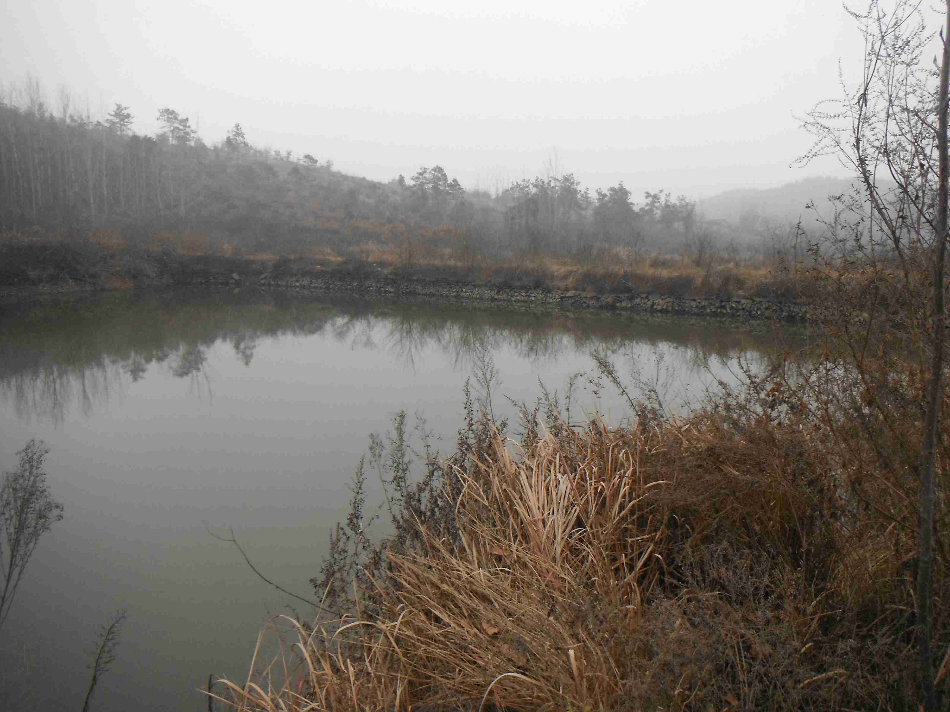 幸福水库