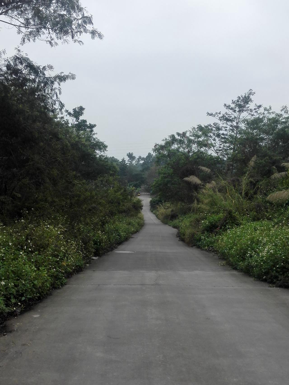 铁岗石岩湿地市级自然保护区