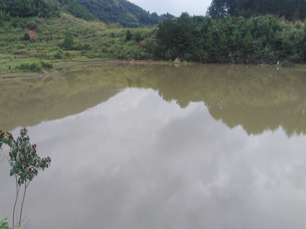 东山洋水库