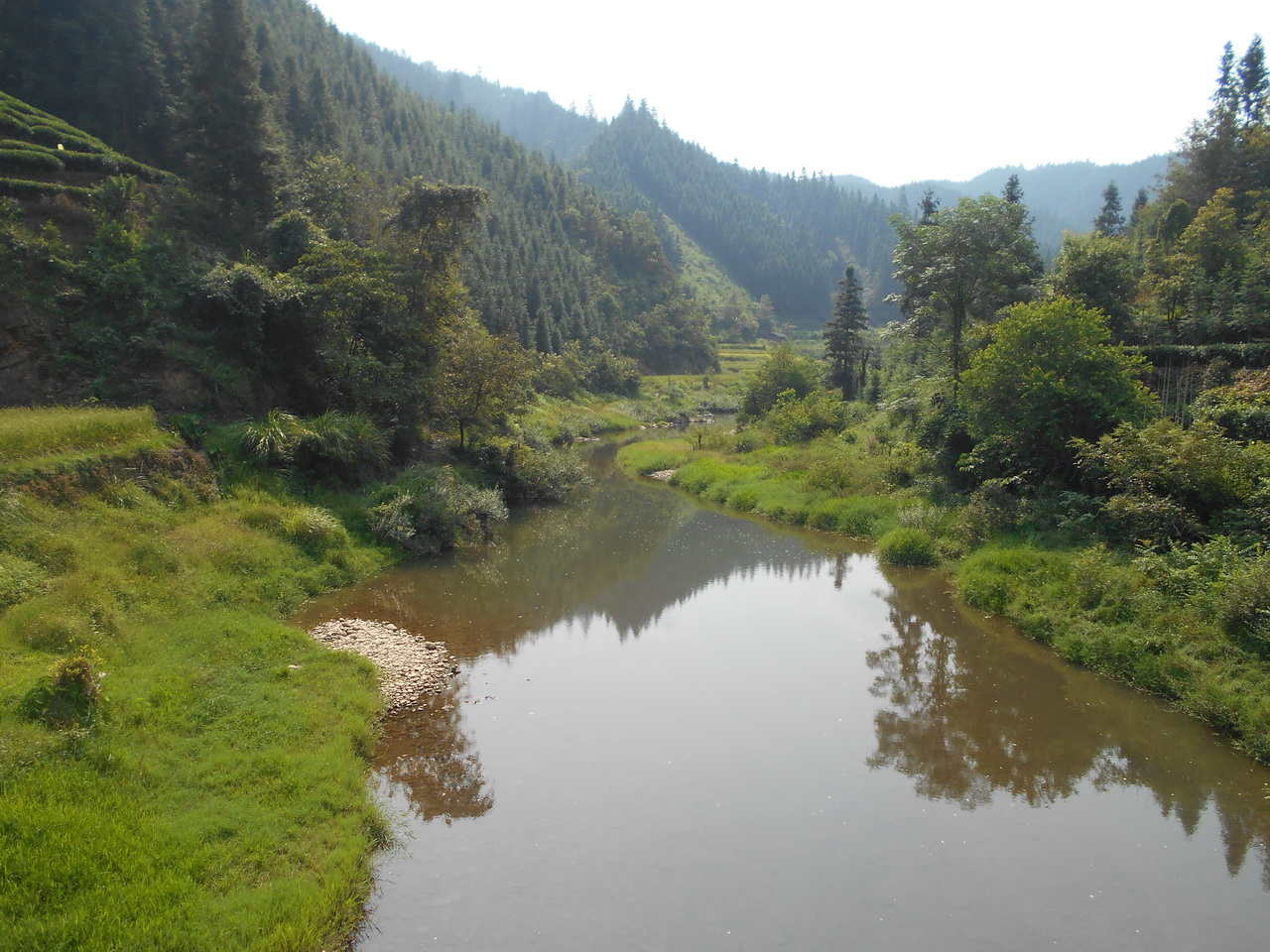 高露河