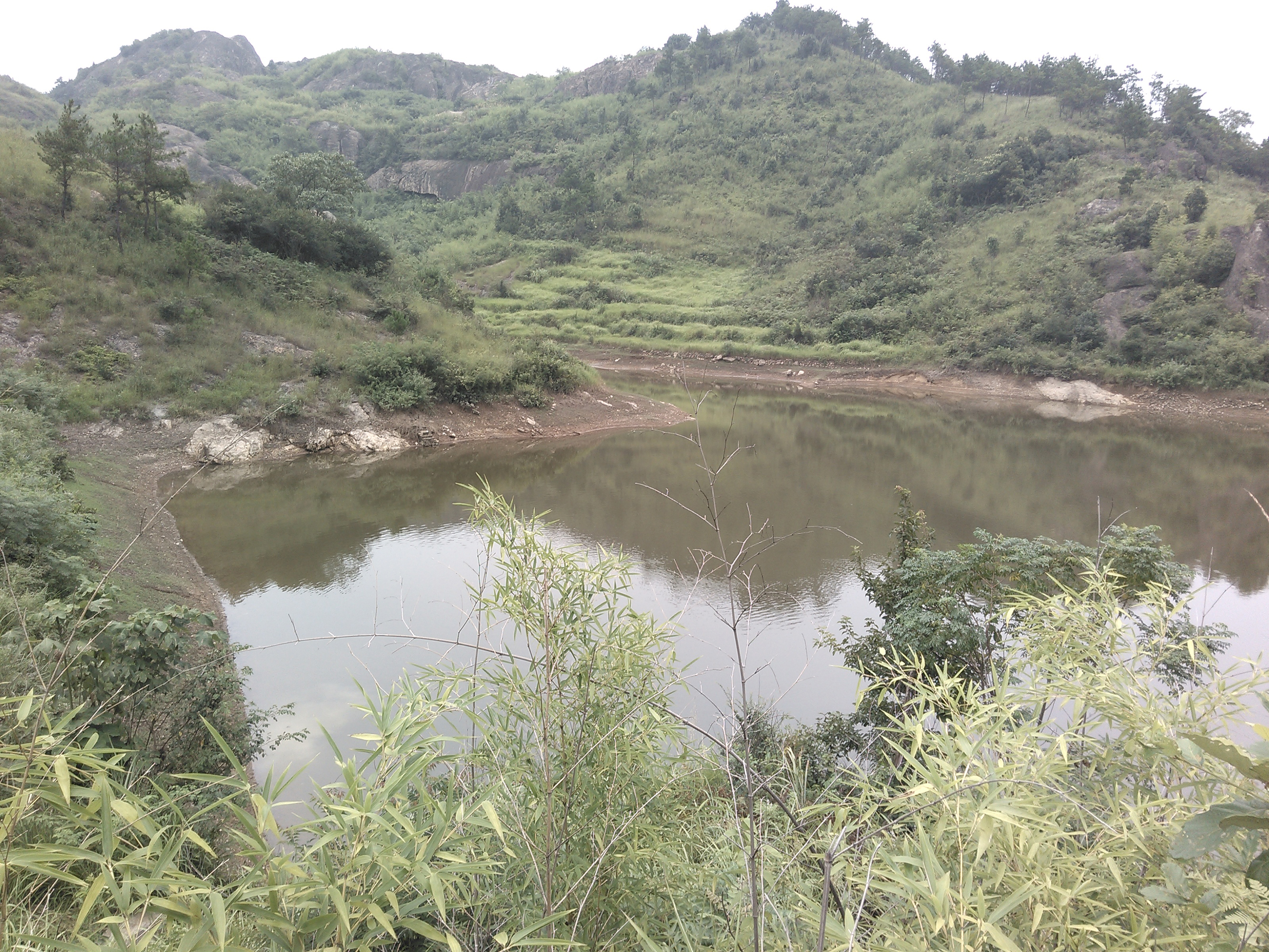 陈太村大山水库