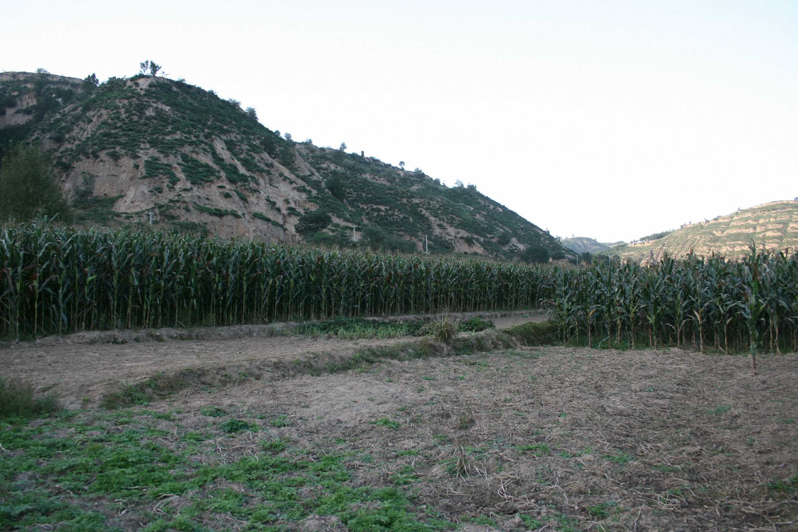 庙山寺院遗址