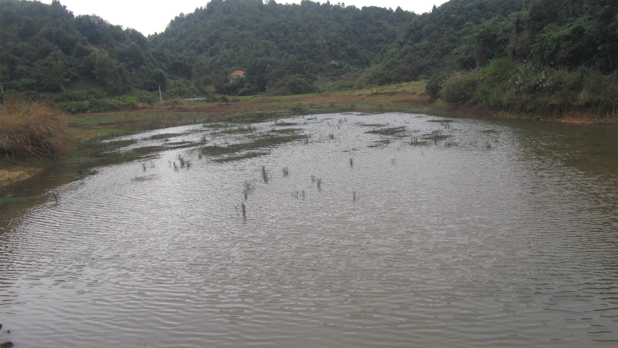 大塘里水库