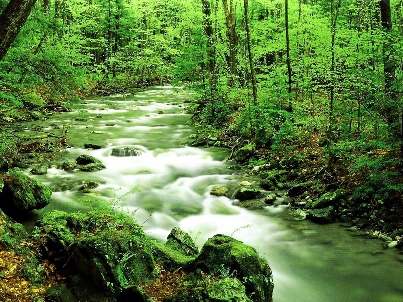 千岛湖森林氧吧