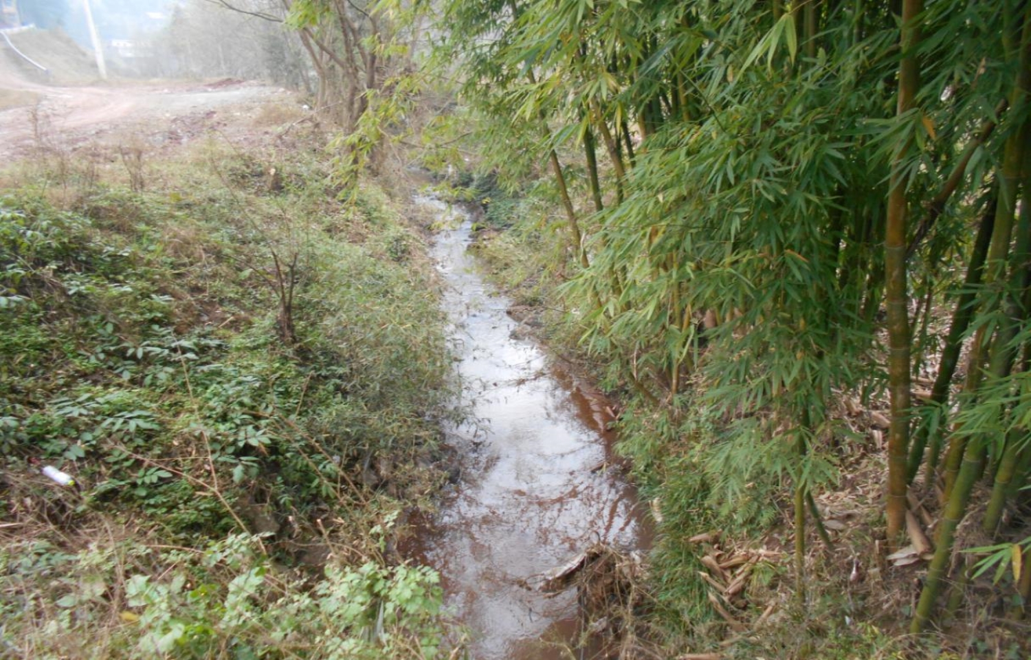 雷砵溪