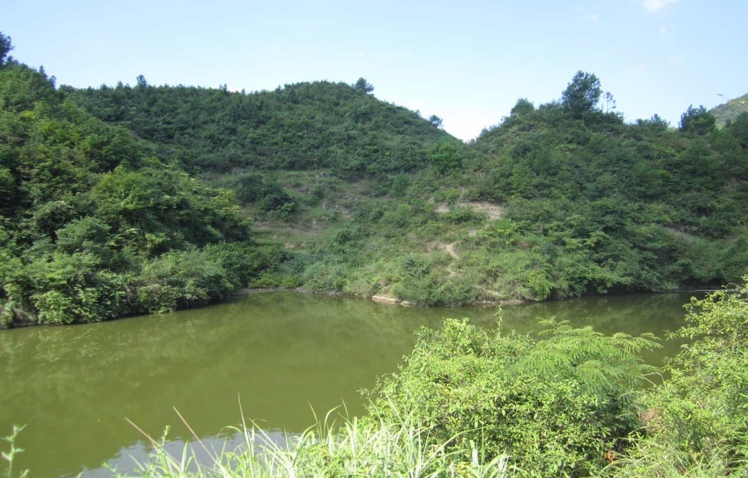 沙湾水库