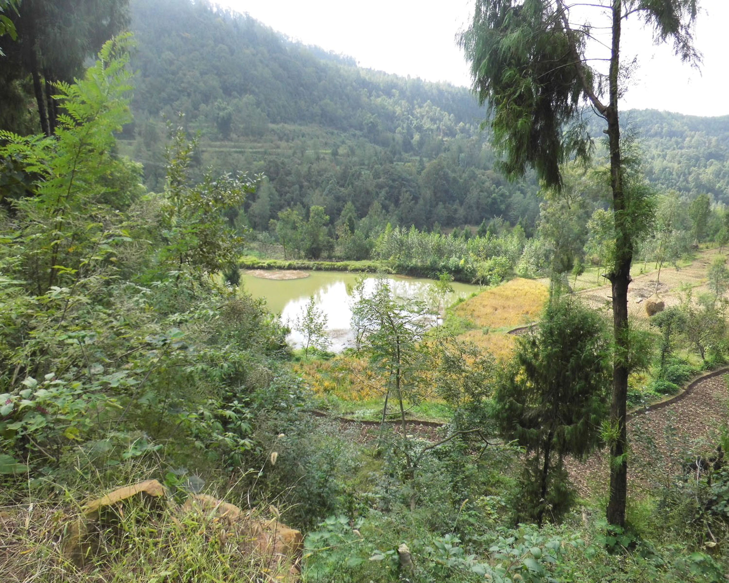 任家河水库