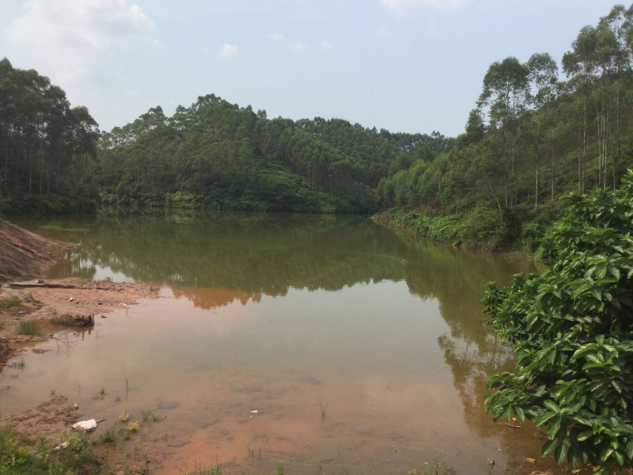 金鸡冲水库