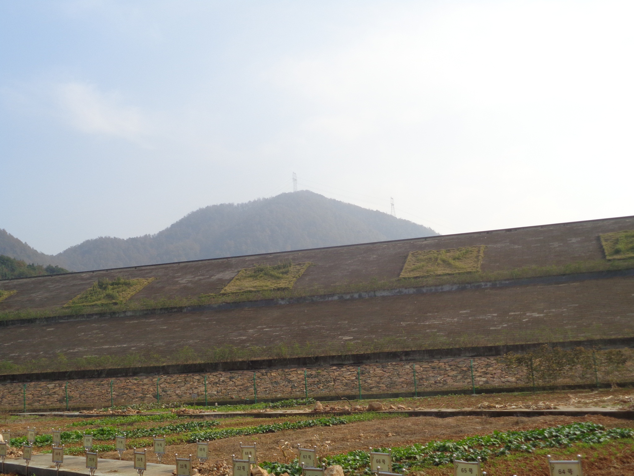 柳家岙水库