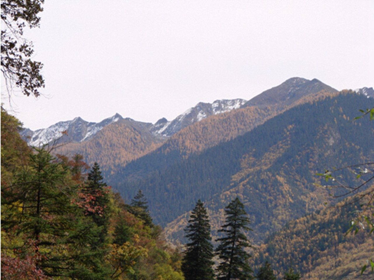 四川杜苟拉自然保护区