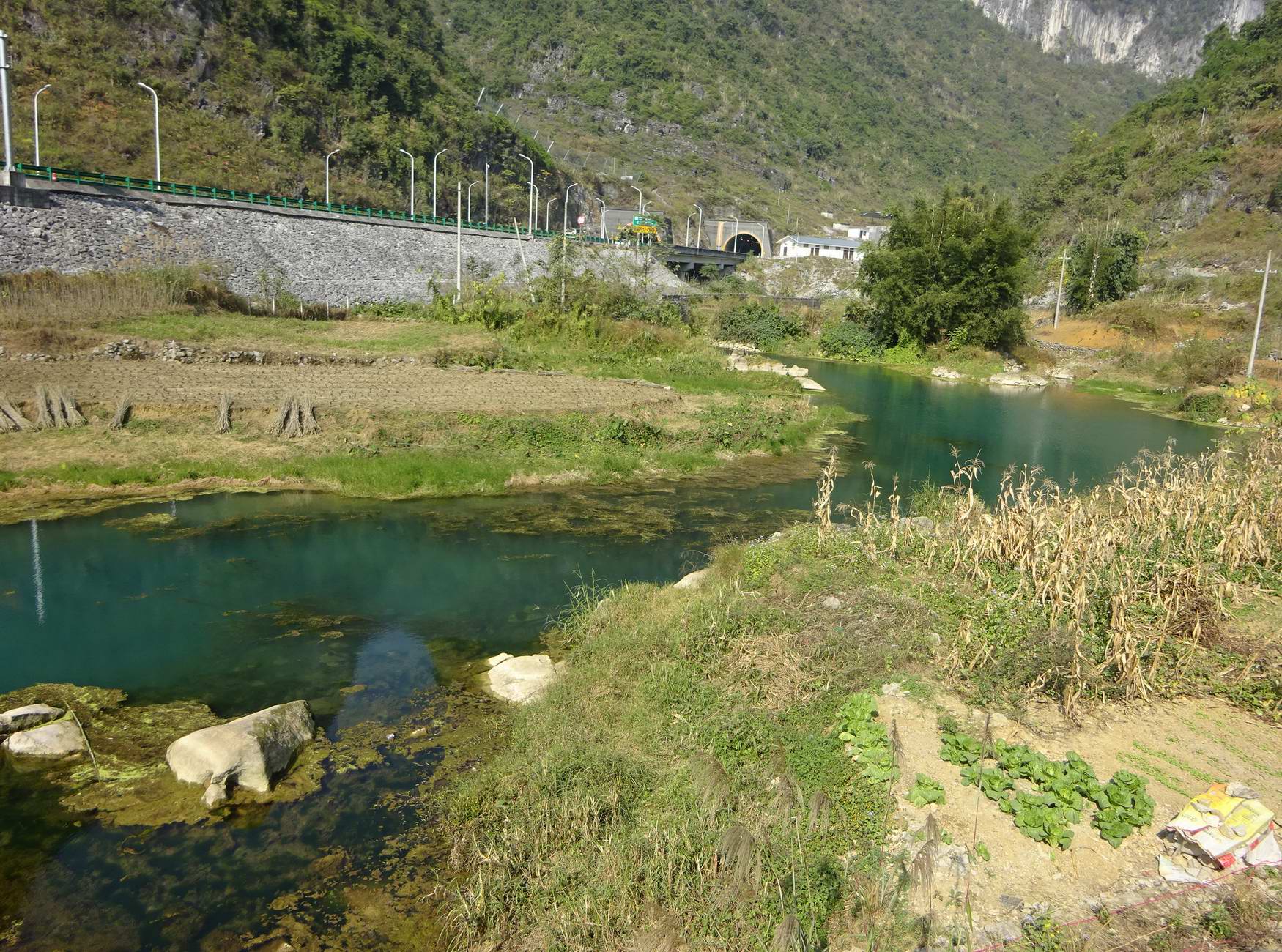 闷水蔸水库