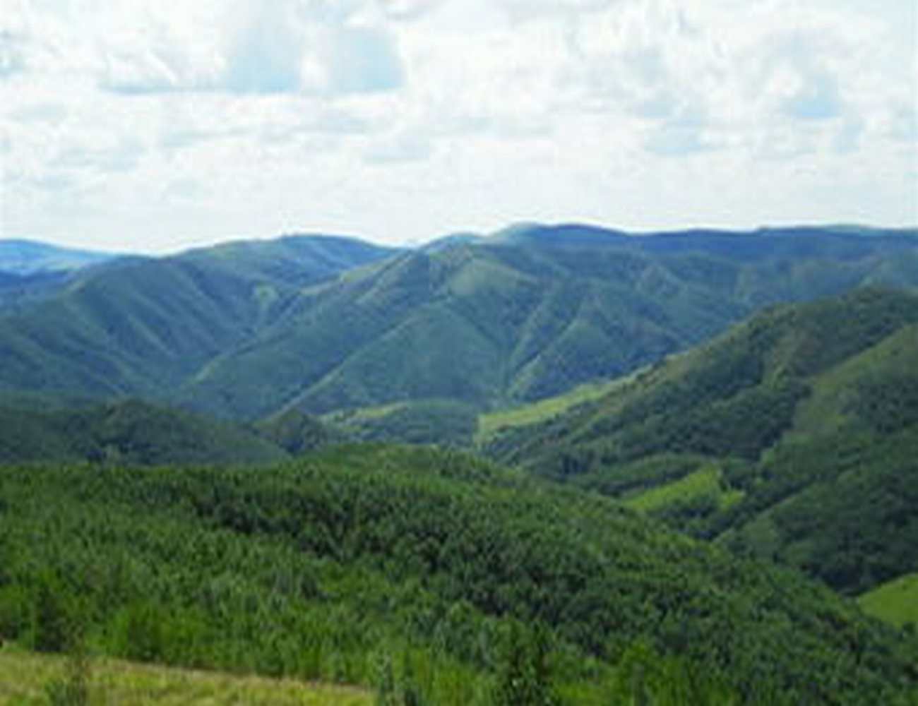 蒙格罕山自然保护区（自治区级）