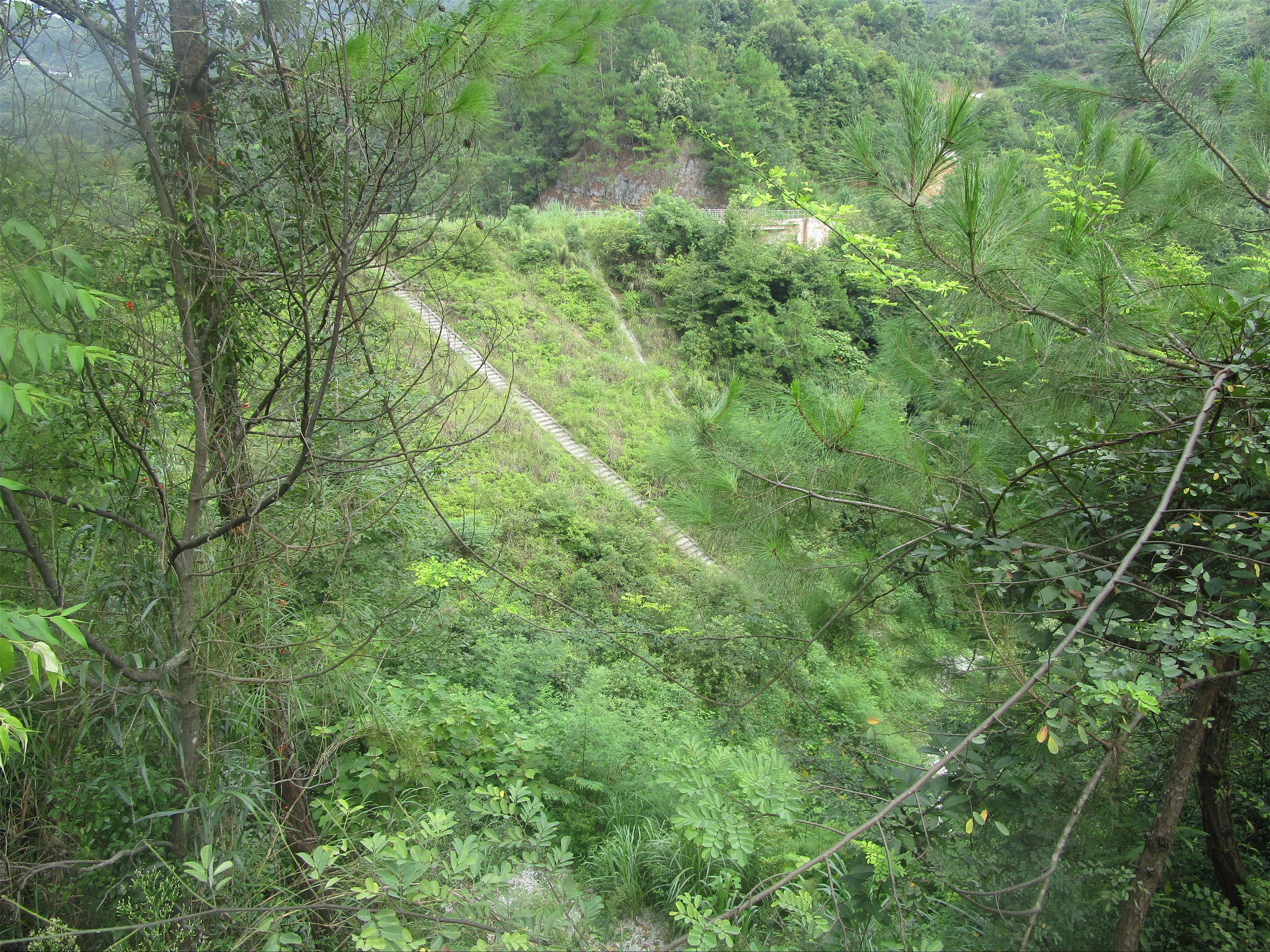 桃花冲水库