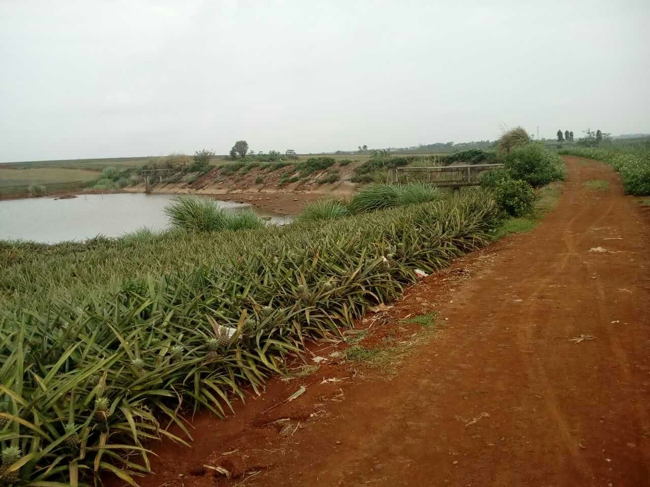 白鹤路水库