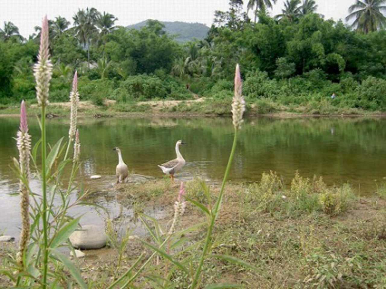 龙湾水库