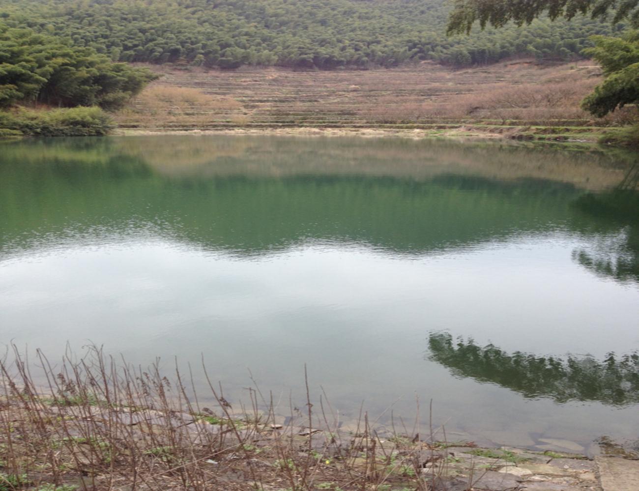 岭头村黄家岙水库