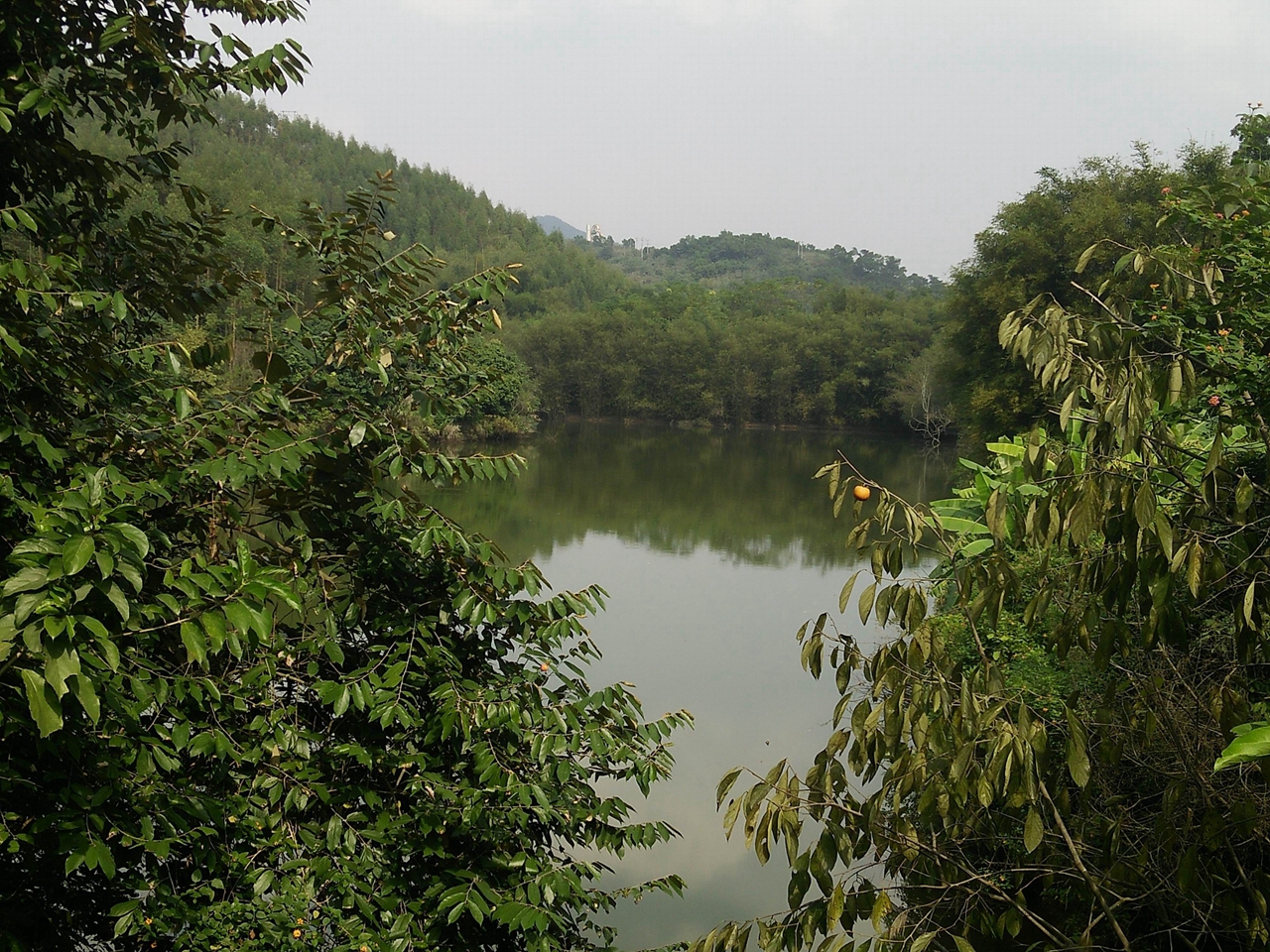 黄羌水库